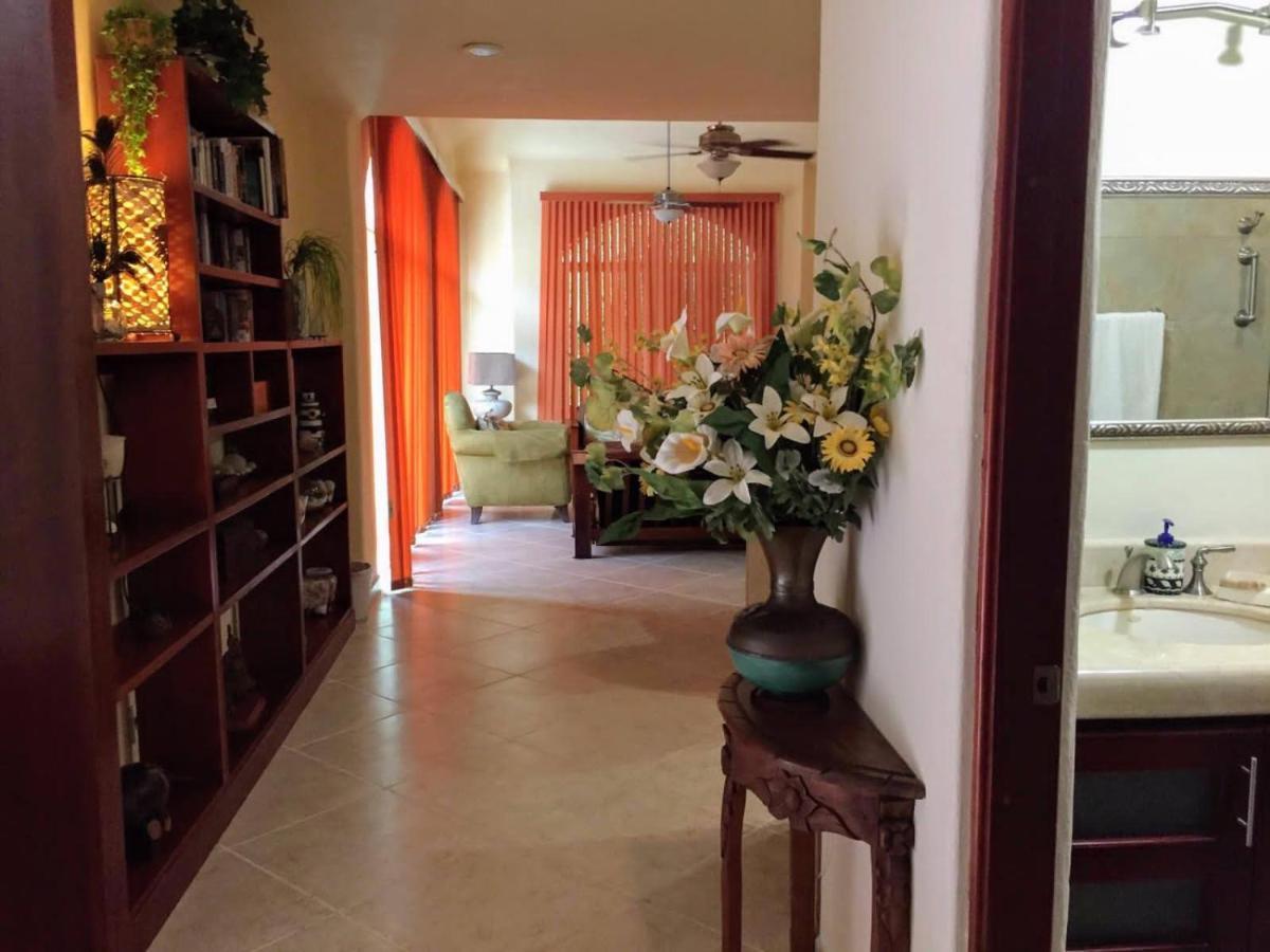 Casa Beard, Spacious Guest House With High Speed Wifi & Pool. Playa del Carmen Luaran gambar